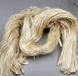 Sisal Fiber Processing